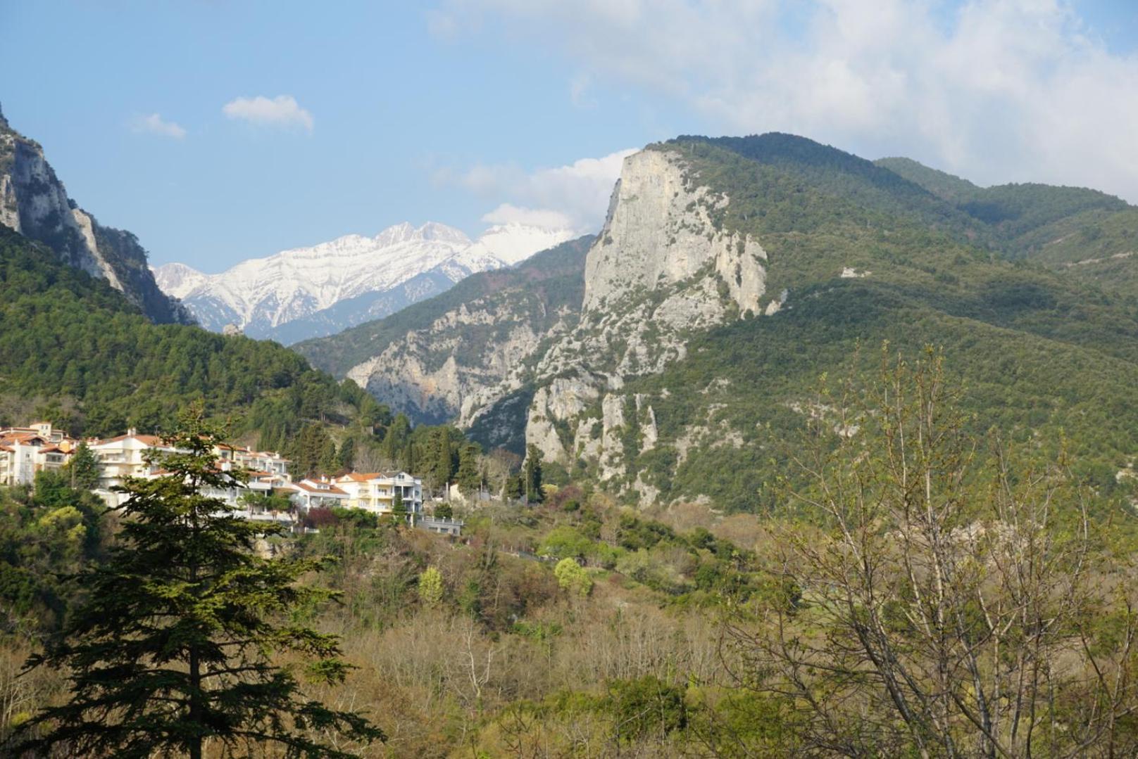 Ενοικιαζόμενα Δωμάτια Ενιπεύς- Rooms Enipeas Litochoro Exterior foto